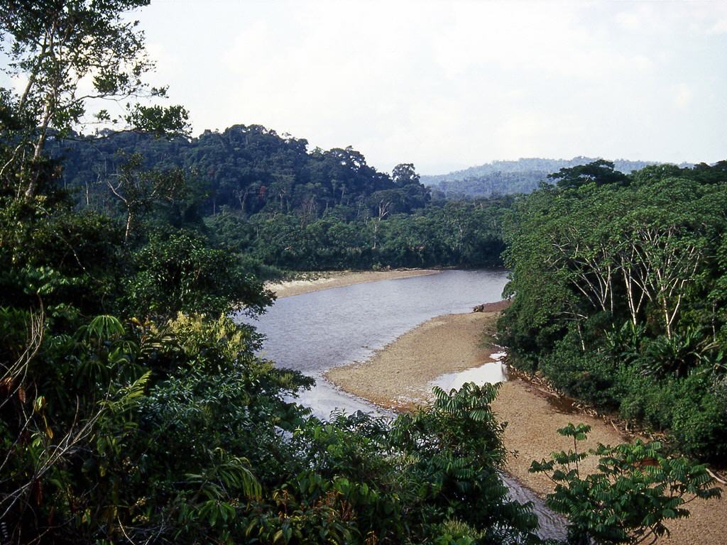 Amazonas - Alto Nangarizta