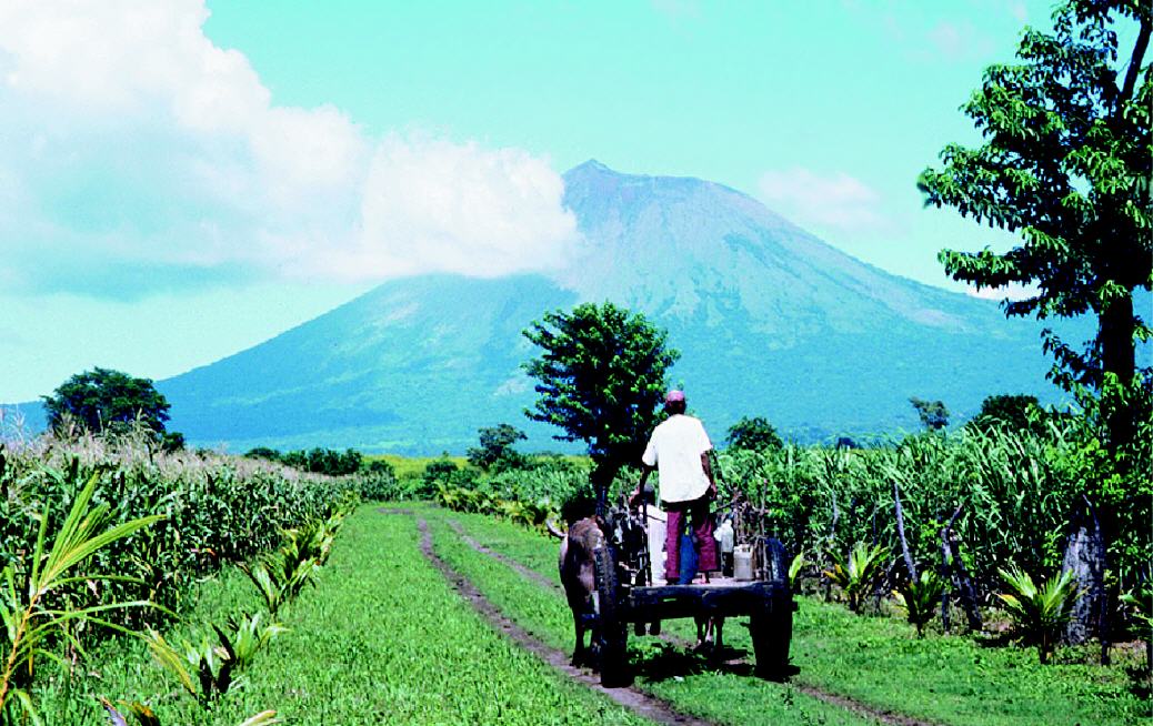 Landwirtschaft auf der Insel Ometepe