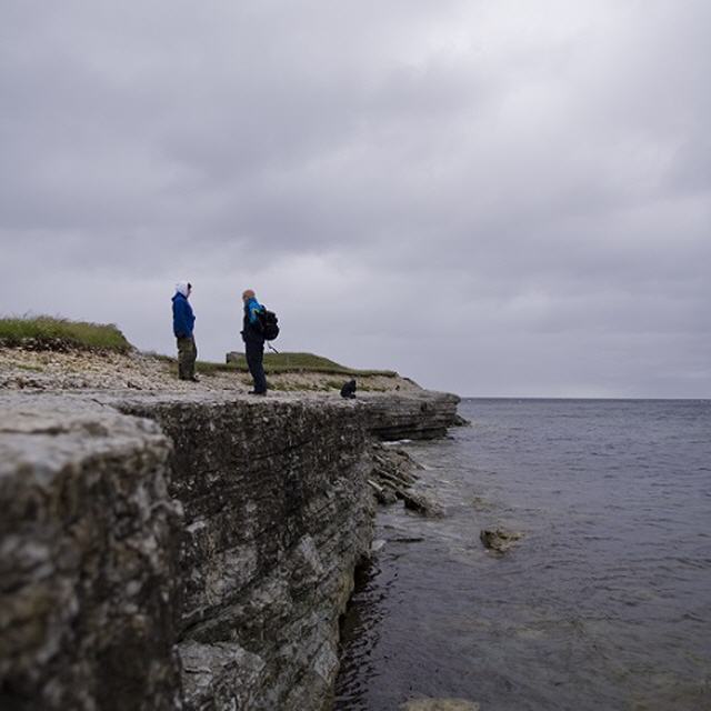 Entlang Estlands Küste: Walken mit Meerblick