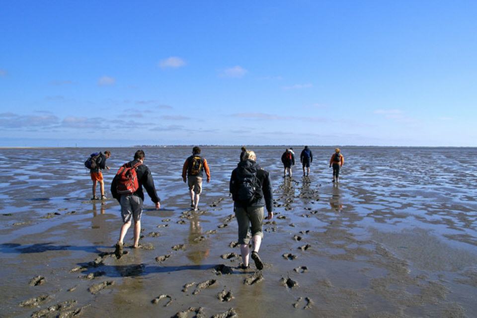 Hollands Küste: Mehr als Sand, Wasser und Wind