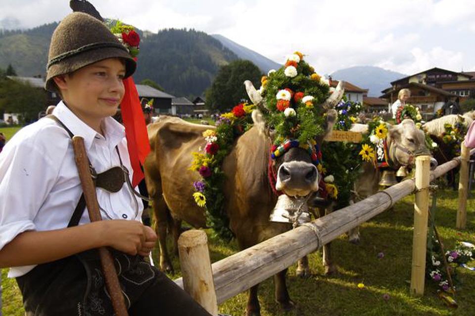Österreich: Almabtriebe in Tirol