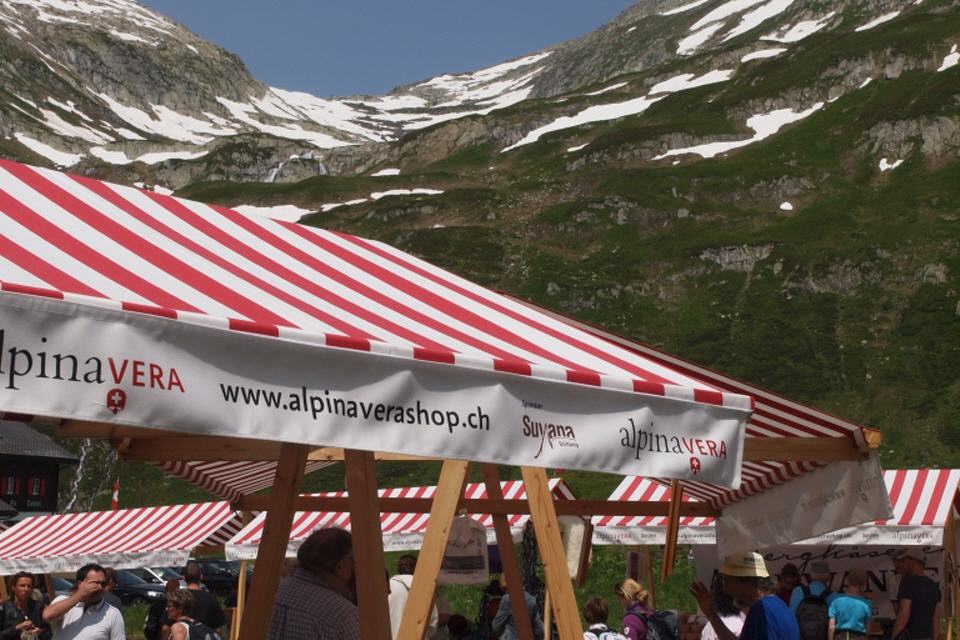 Österreich: Open Air Donauinselfest in Wien