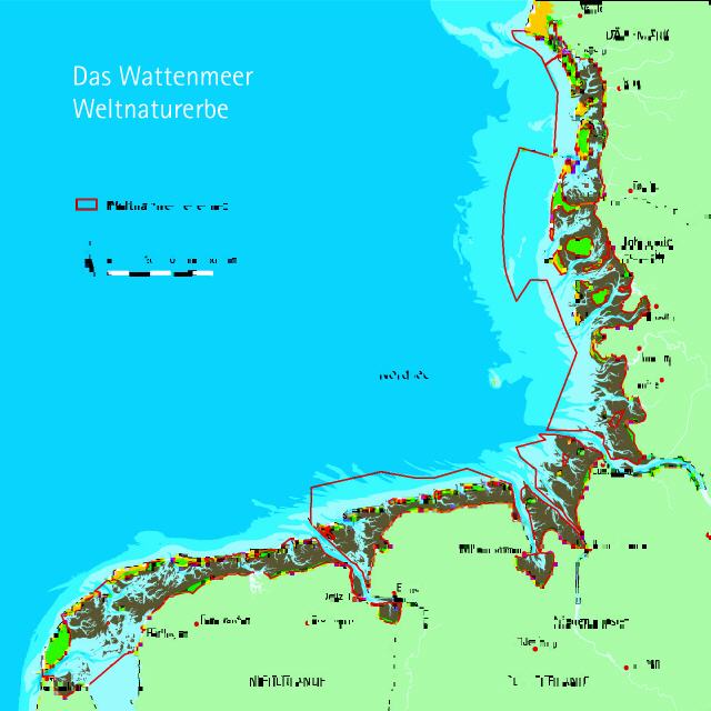 Wattenmeer: Urlaub im Weltnaturerbe