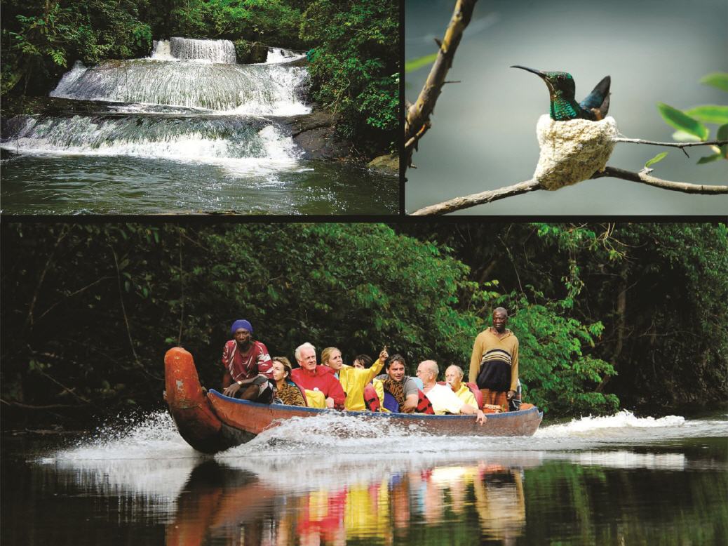 Touren durch Surinames Regenwälder