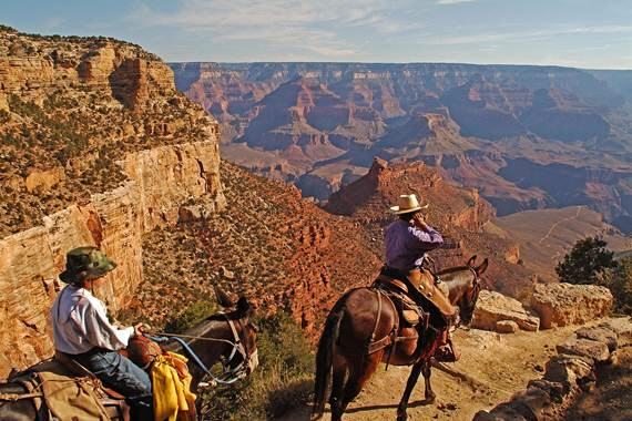 Grand Canyon per Mule Trekking erkunden