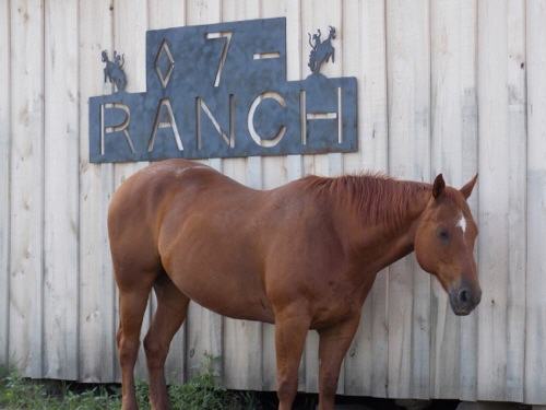 Cowboyfeeling - Ranchurlaub in den Rocky Mountain